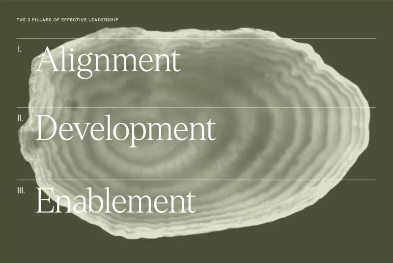 OTOLITH Pillars 2
