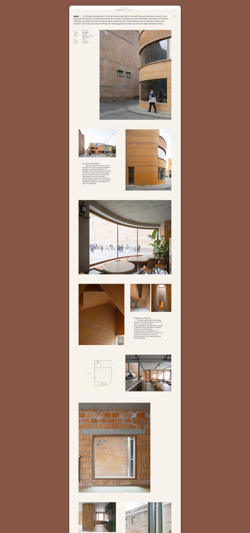 De Bruyn WEB Project Peper